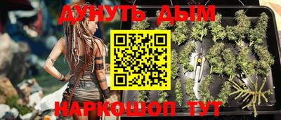 apvp Краснознаменск