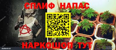 альфа пвп Краснодар
